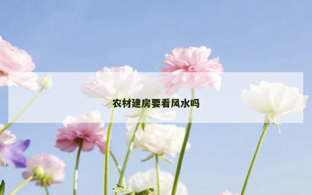 农材建房要看风水吗