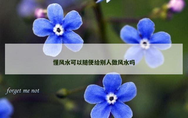 懂风水可以随便给别人做风水吗