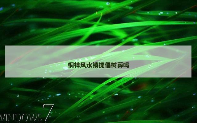 桐梓风水镇提倡树葬吗