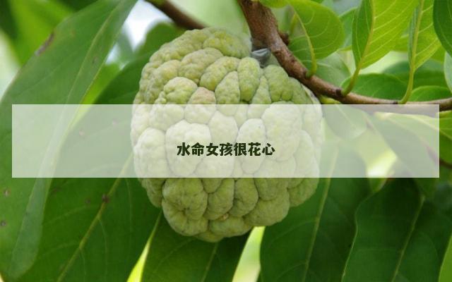 水命女孩很花心