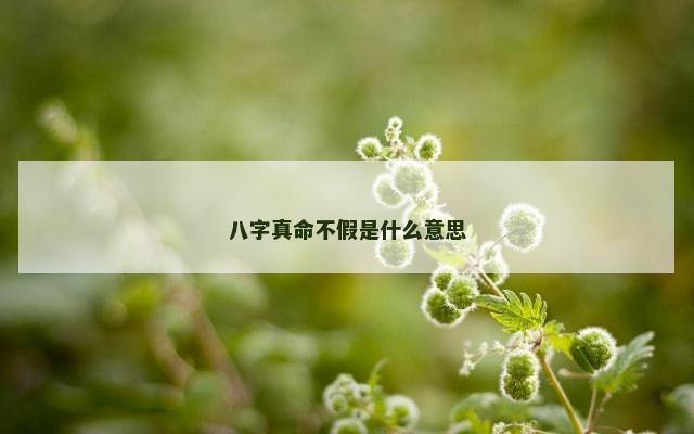 八字真命不假是什么意思