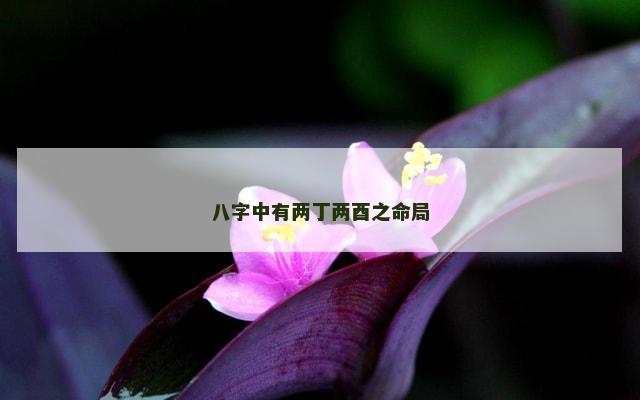 八字中有两丁两酉之命局