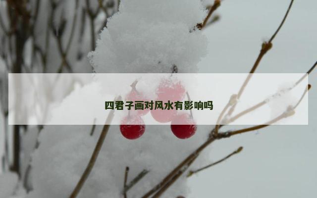 四君子画对风水有影响吗