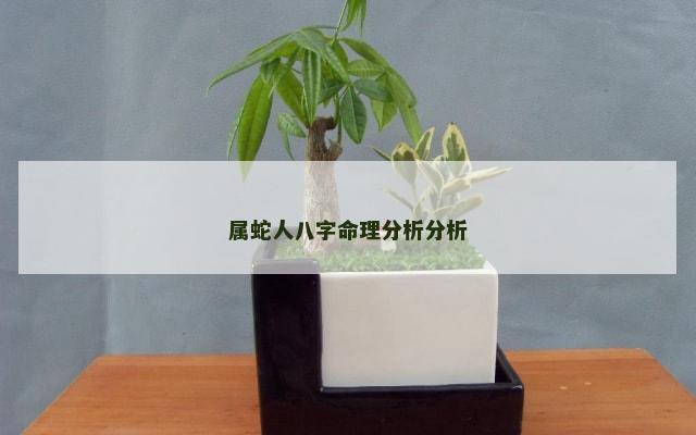 属蛇人八字命理分析分析