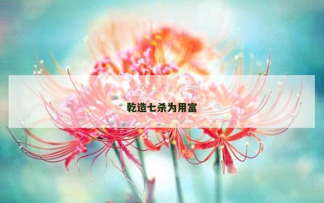 乾造七杀为用富