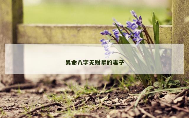 男命八字无财星的妻子