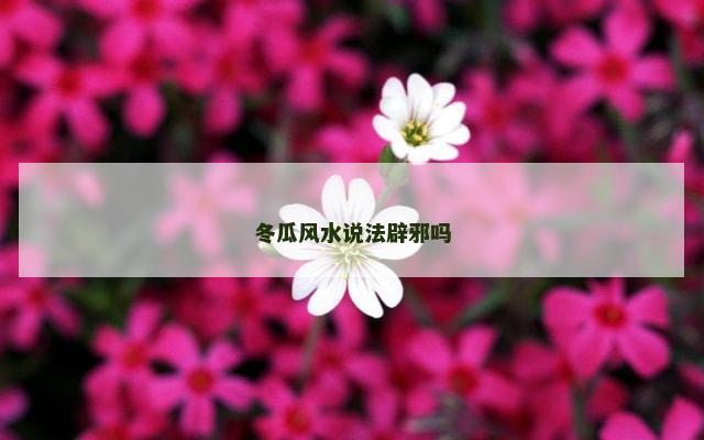 冬瓜风水说法辟邪吗