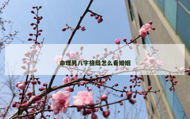 命理男八字格局怎么看婚姻