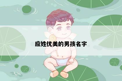应姓优美的男孩名字