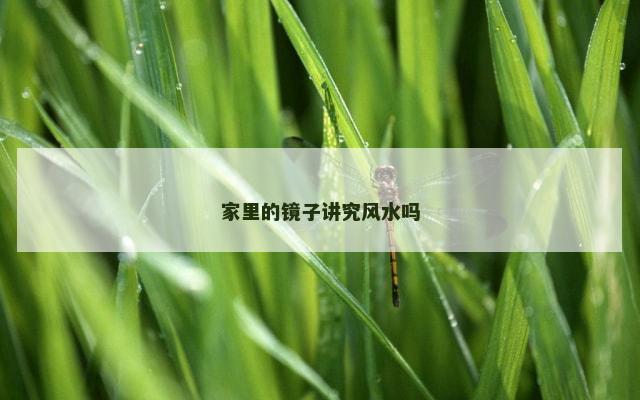 家里的镜子讲究风水吗