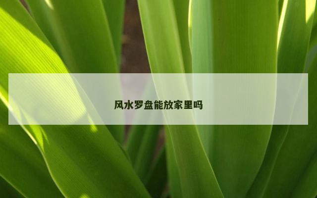 风水罗盘能放家里吗