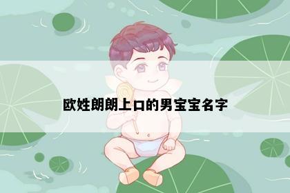 欧姓朗朗上口的男宝宝名字