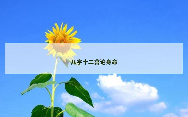 八字十二宫论身命