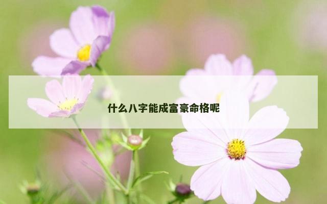 什么八字能成富豪命格呢