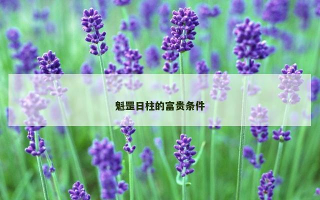 魁罡日柱的富贵条件