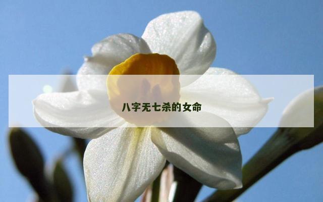八字无七杀的女命