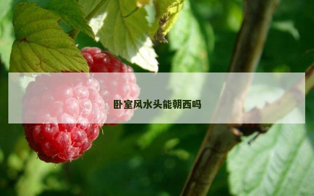 卧室风水头能朝西吗