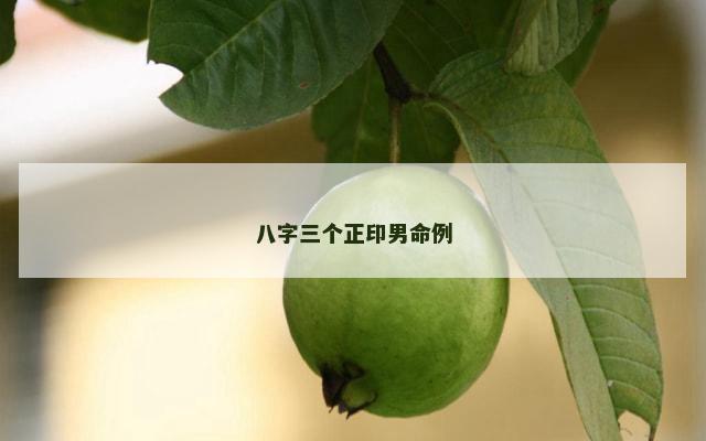 八字三个正印男命例
