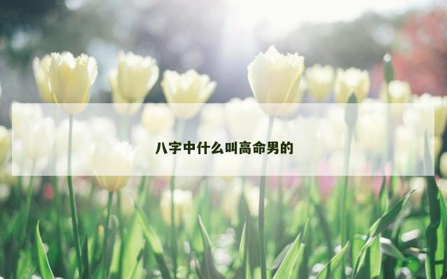 八字中什么叫高命男的