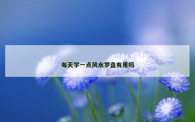 每天学一点风水罗盘有用吗