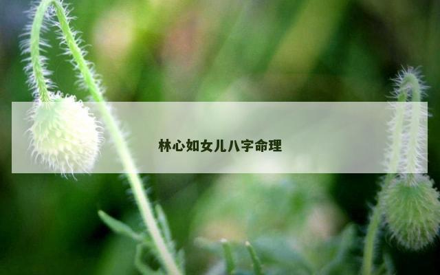林心如女儿八字命理