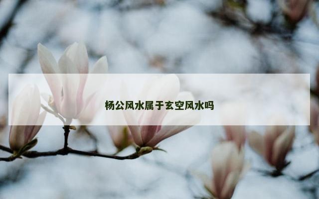 杨公风水属于玄空风水吗