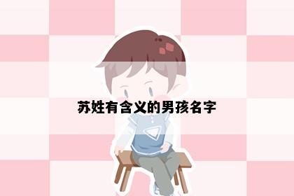 苏姓有含义的男孩名字
