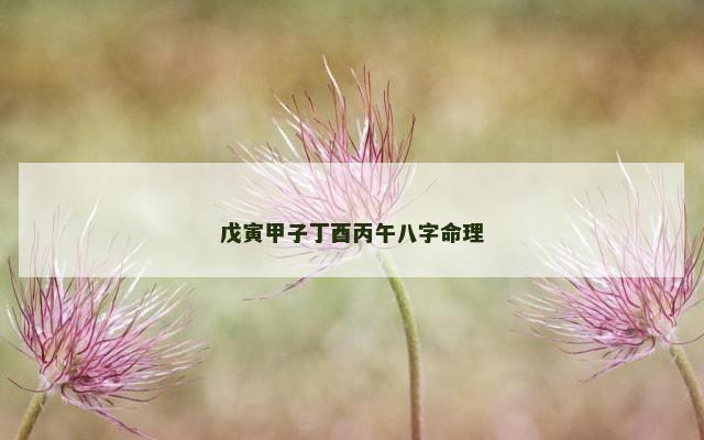 戊寅甲子丁酉丙午八字命理