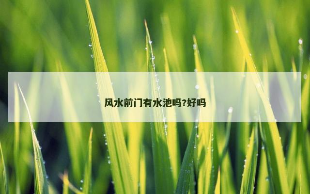 风水前门有水池吗?好吗