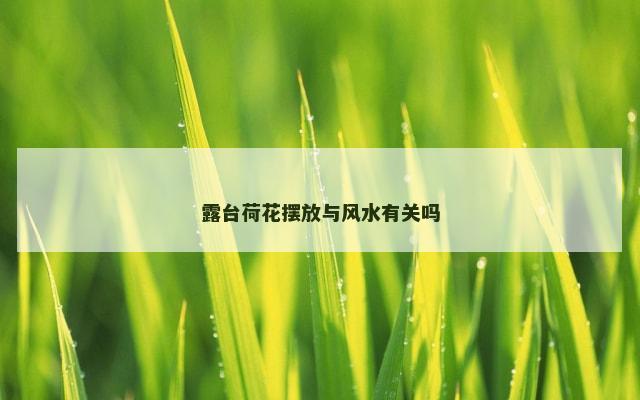 露台荷花摆放与风水有关吗