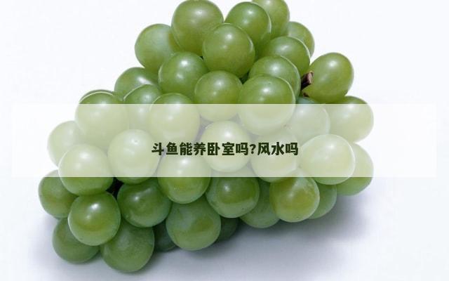斗鱼能养卧室吗?风水吗