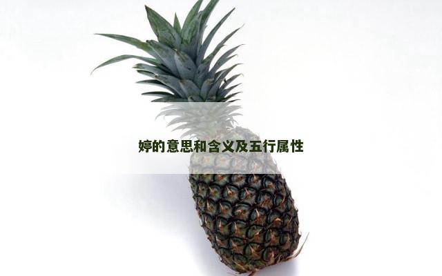 婷的意思和含义及五行属性