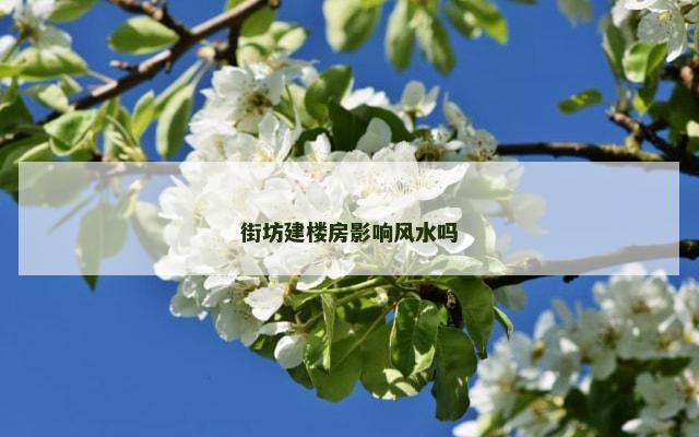 街坊建楼房影响风水吗