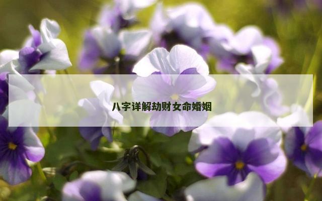 八字详解劫财女命婚姻