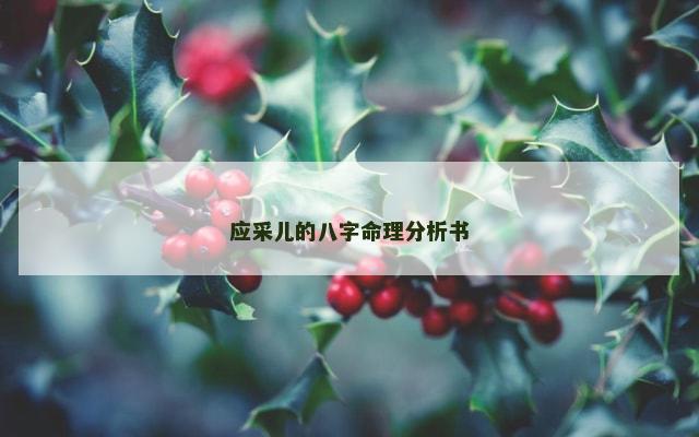 应采儿的八字命理分析书