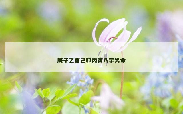 庚子乙酉己卯丙寅八字男命