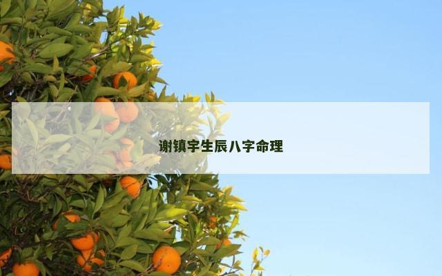 谢镇宇生辰八字命理