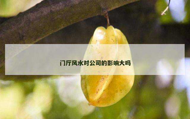 门厅风水对公司的影响大吗