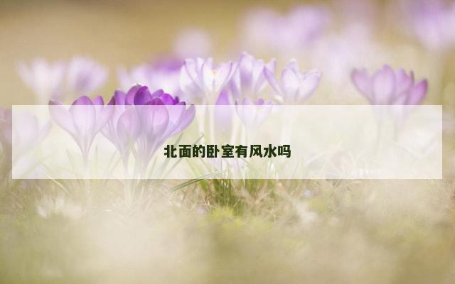北面的卧室有风水吗