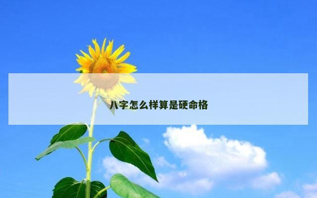 八字怎么样算是硬命格