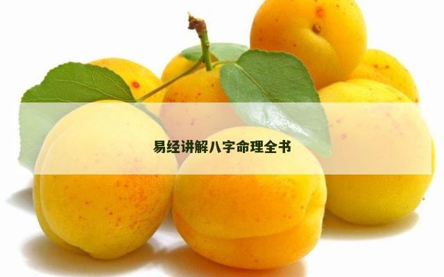 易经讲解八字命理全书