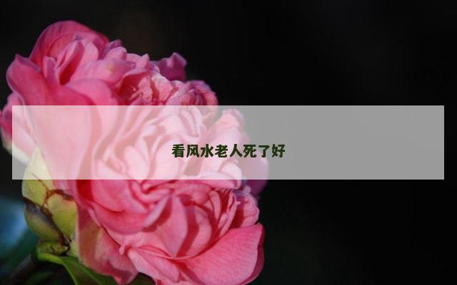 看风水老人死了好