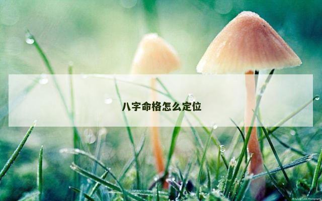 八字命格怎么定位