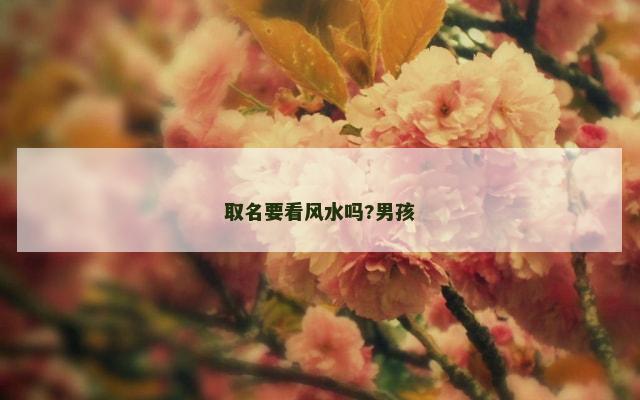 取名要看风水吗?男孩