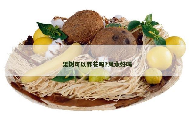 果树可以养花吗?风水好吗