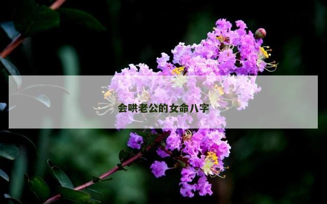 会哄老公的女命八字