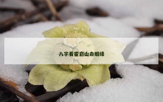 八字看霍启山命姻缘