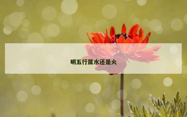 明五行属水还是火