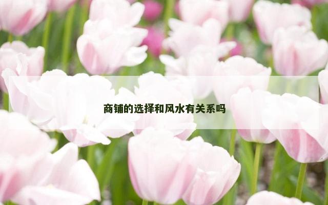 商铺的选择和风水有关系吗