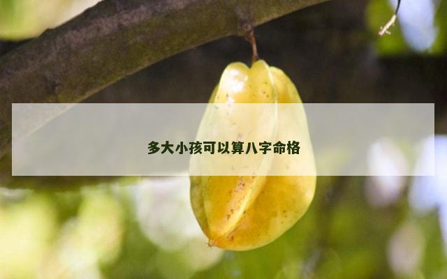 多大小孩可以算八字命格